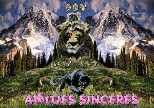 word d'amour en occitan proverbes sur l'amitié