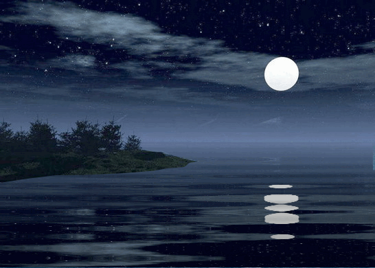 29101115_1.gif