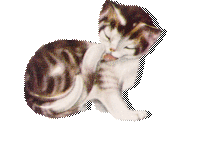 gyfwhyu5.gif