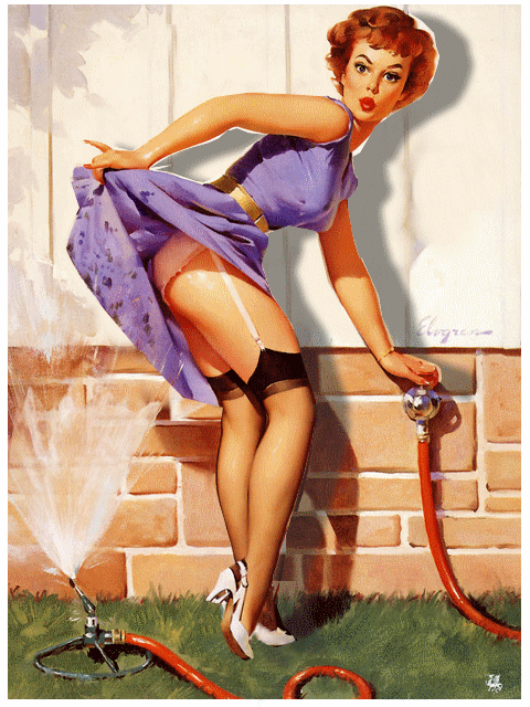pin-up-jet-deau.gif